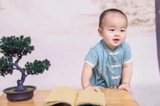 代怀包生男孩机构可爱的企鹅宝宝